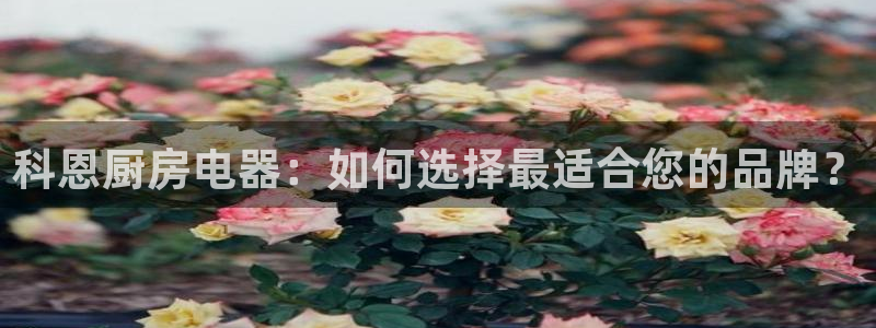 鸿运彩票诈骗平台