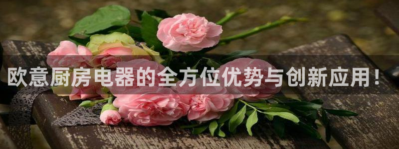 鸿运来是什么平台