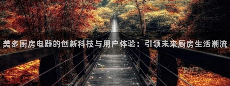 鸿运团队赚钱平台