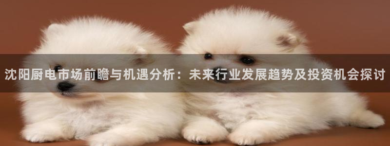 鸿运平台进入