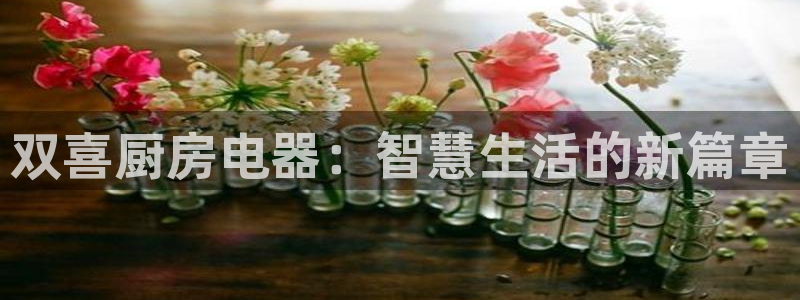 鸿运锦囊是什么平台