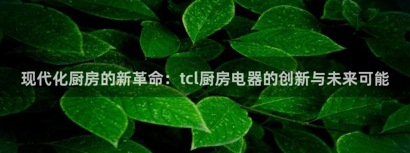 鸿运彩app平台