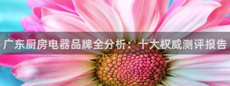 鸿运汽配团购平台