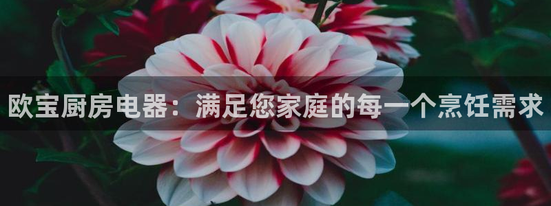 辣椒鸿运权威彩票平台
