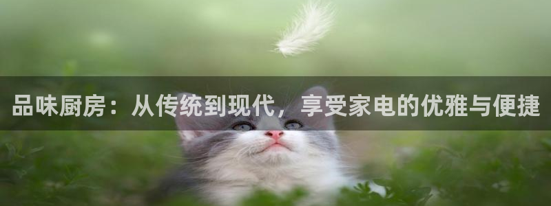 鸿运棋牌平台下载