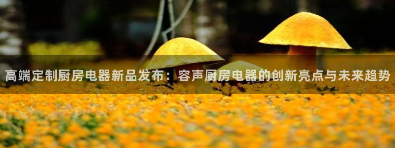 李鸿运开直播平台
