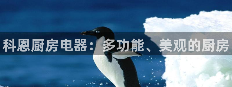 鸿运娱乐代理平台
